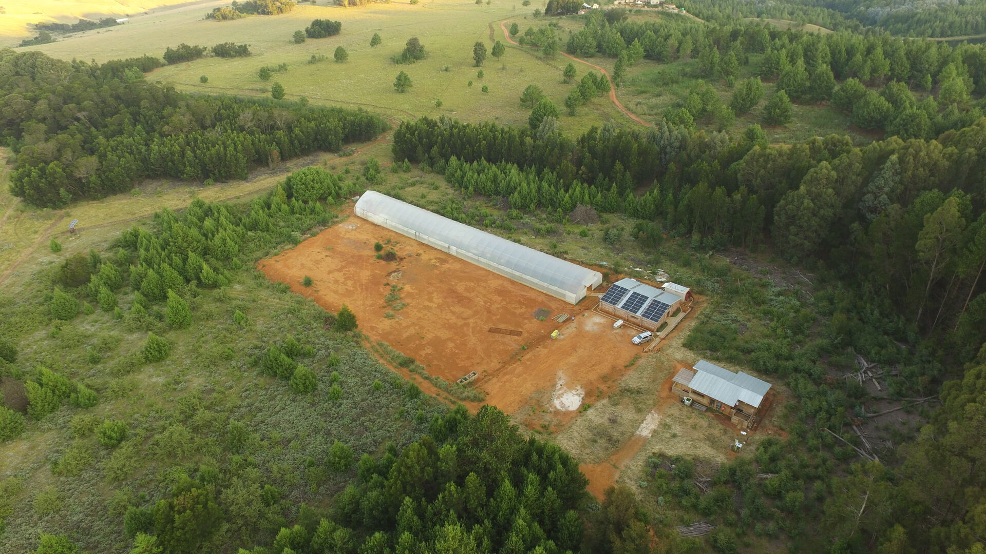 Aerial view of Ezulwini Africa's aquaponic growing tunnel, solar panels, and farm buildings surrounded by trees in Dullstroom