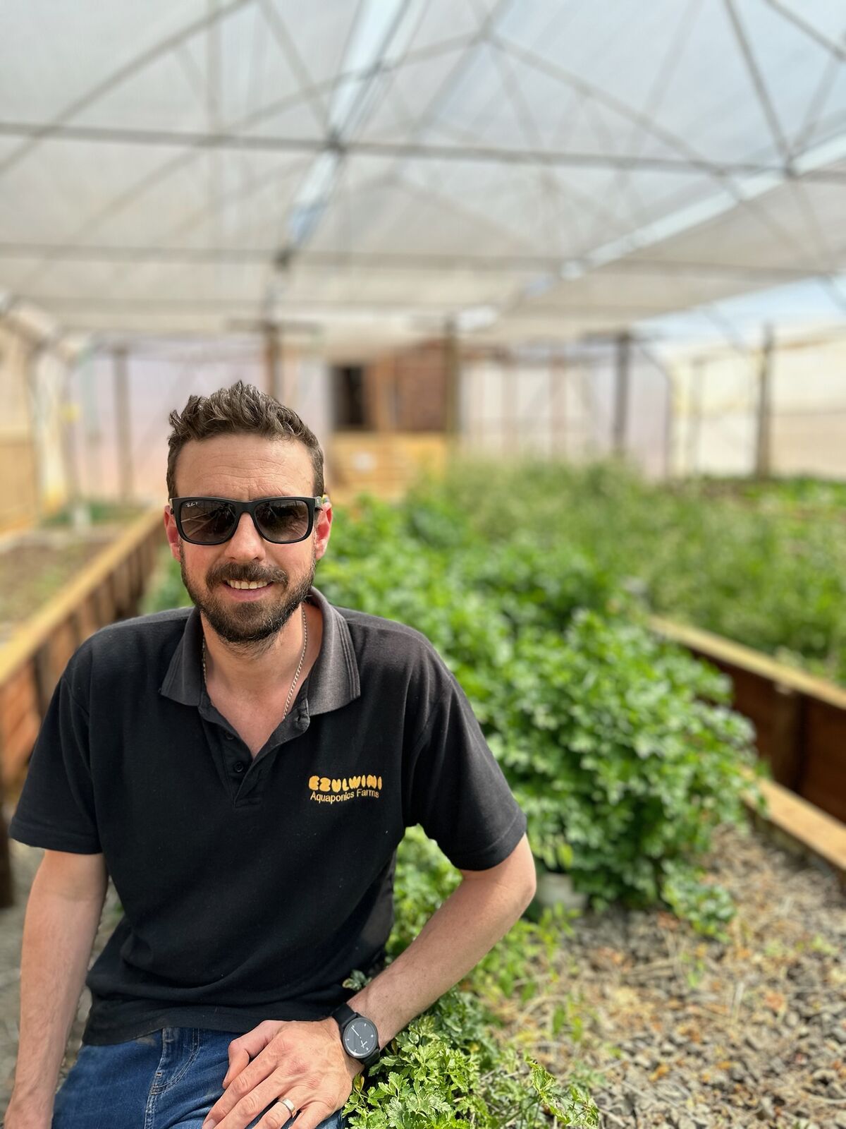 Lliam Roach, founder and Managing Director of Ezulwini Africa, inside the aquaponic growing tunnel in Dullstroom
