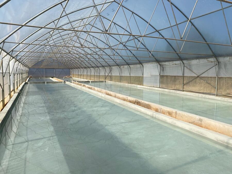 Completed deep-water culture growing channels inside the Ezulwini Africa aquaponic tunnel in Dullstroom